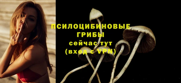 PSILOCYBIN Балахна