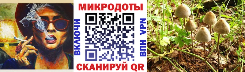 Псилоцибиновые грибы мицелий Соль-Илецк