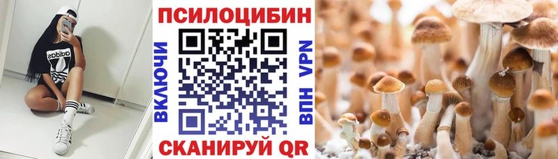 shop формула  Соль-Илецк  Галлюциногенные грибы прущие грибы 