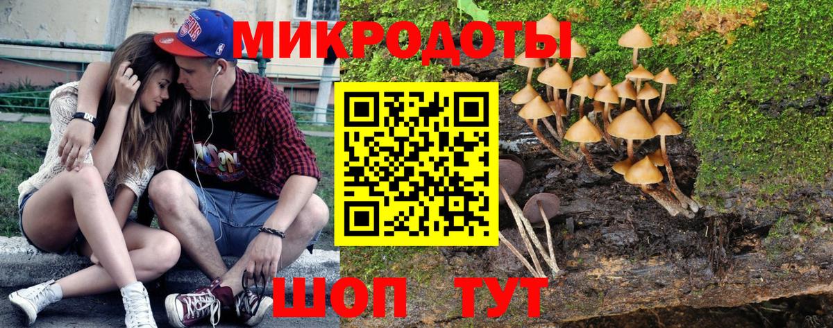 Соль-Илецк  Галлюциногенные грибы мицелий  Вход с VPN 